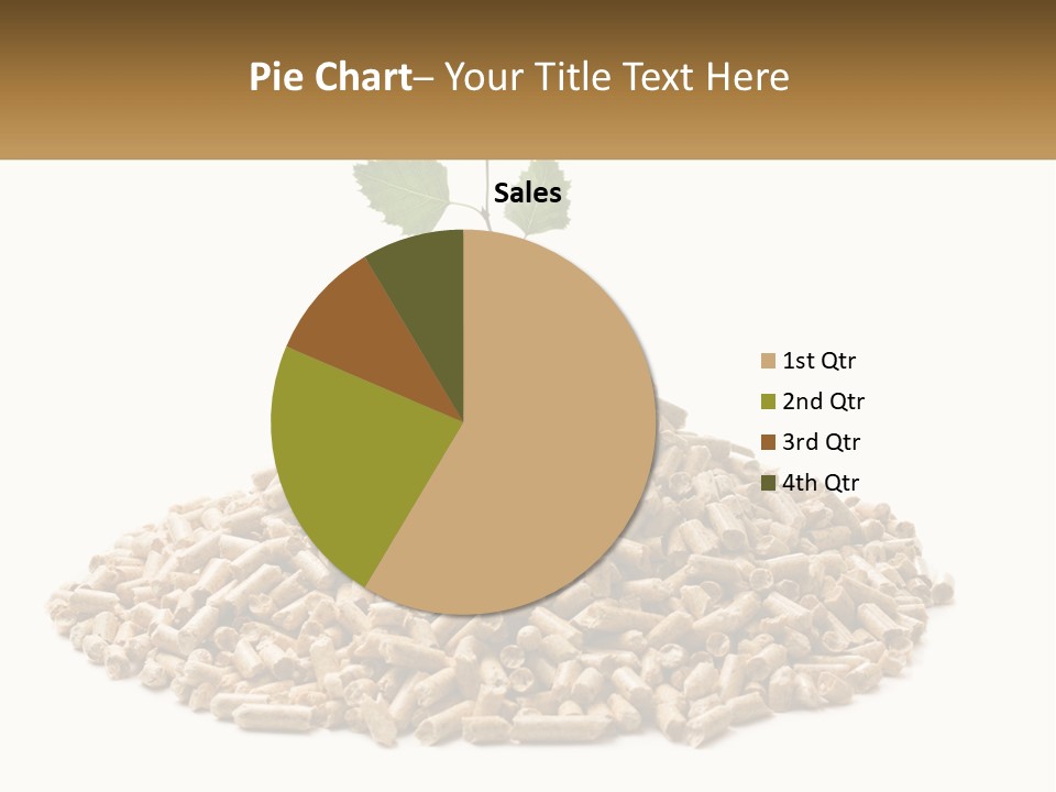 Ecological Toilet Filler PowerPoint Template