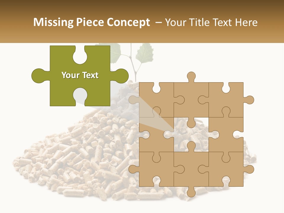 Ecological Toilet Filler PowerPoint Template