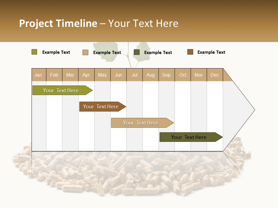 Ecological Toilet Filler PowerPoint Template