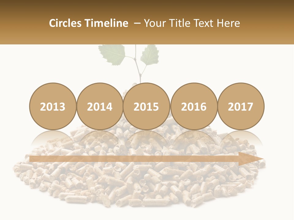 Ecological Toilet Filler PowerPoint Template