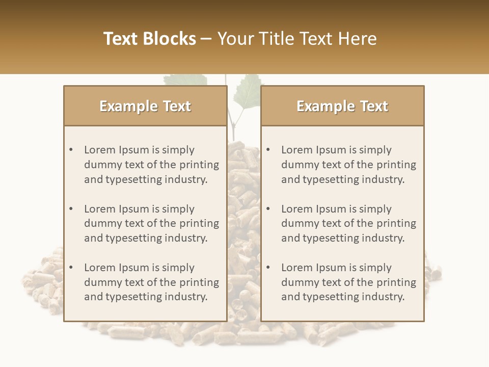 Ecological Toilet Filler PowerPoint Template