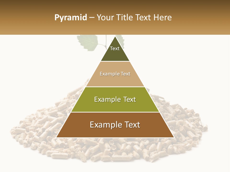Ecological Toilet Filler PowerPoint Template