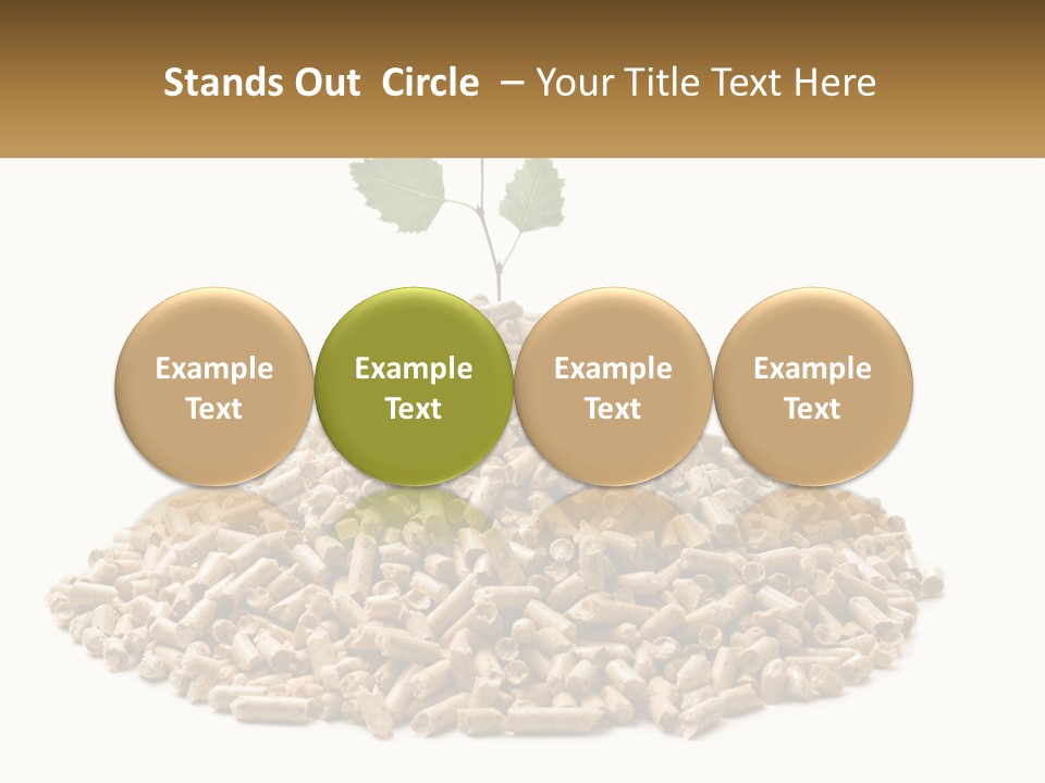 Ecological Toilet Filler PowerPoint Template