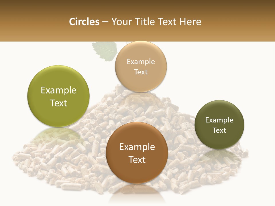 Ecological Toilet Filler PowerPoint Template