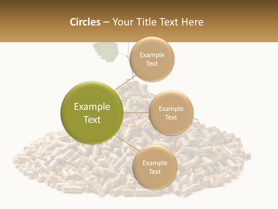 Ecological Toilet Filler PowerPoint Template