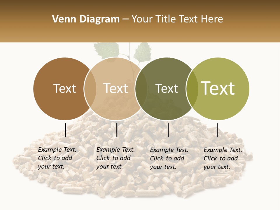 Ecological Toilet Filler PowerPoint Template