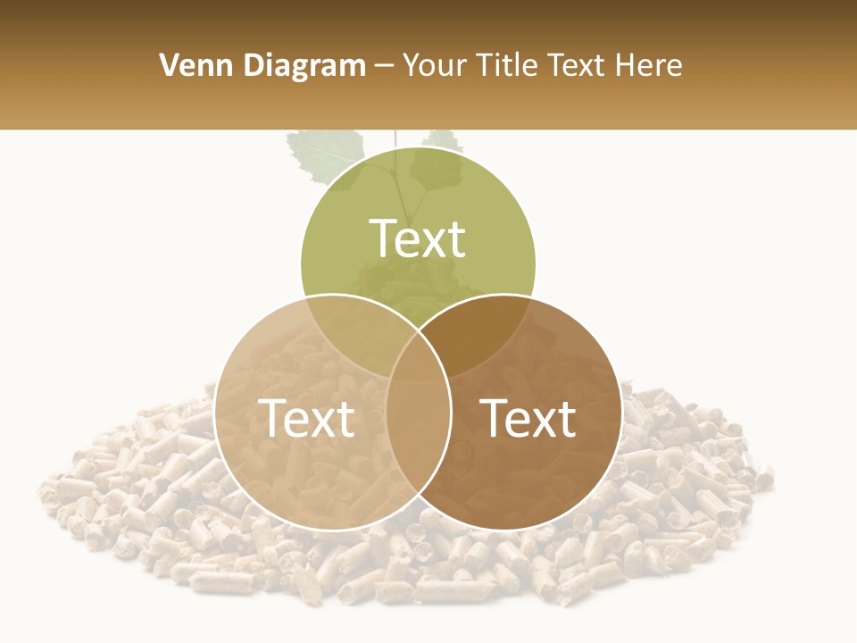Ecological Toilet Filler PowerPoint Template
