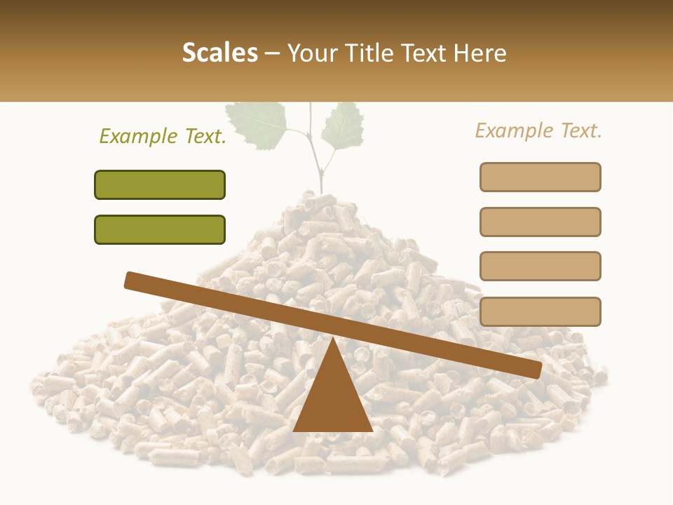Ecological Toilet Filler PowerPoint Template