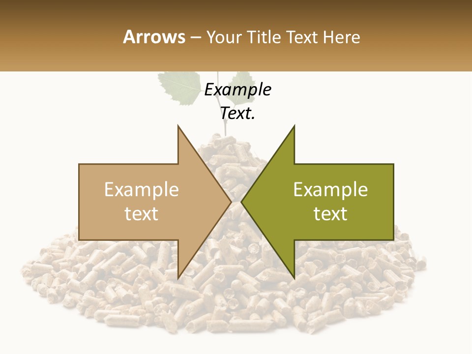 Ecological Toilet Filler PowerPoint Template