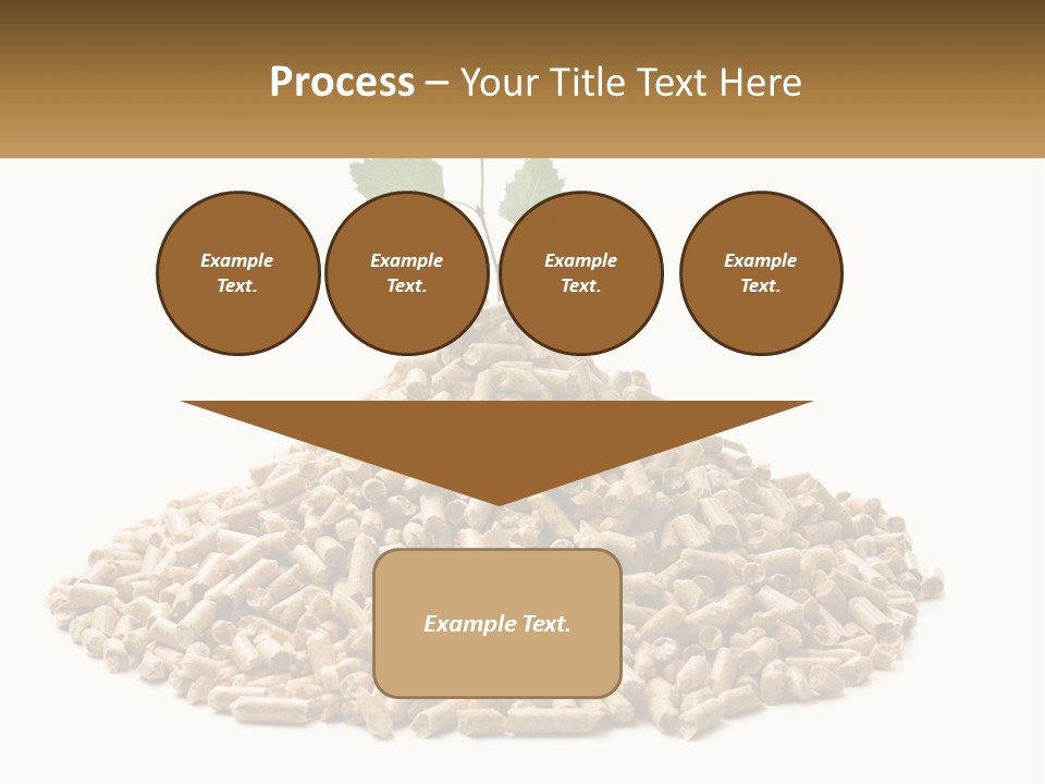 Ecological Toilet Filler PowerPoint Template