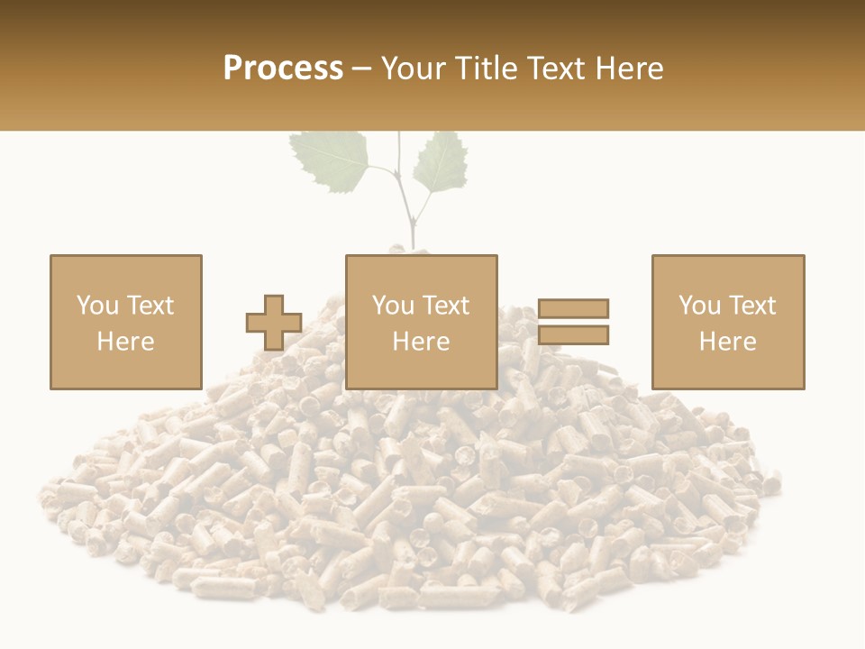 Ecological Toilet Filler PowerPoint Template