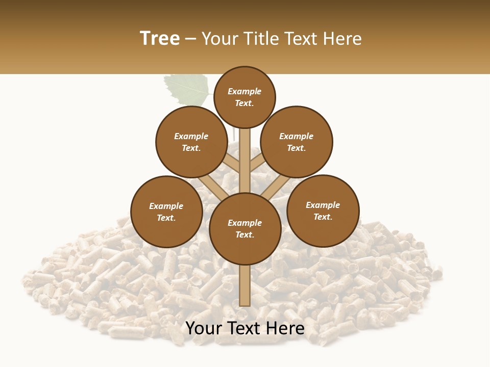 Ecological Toilet Filler PowerPoint Template