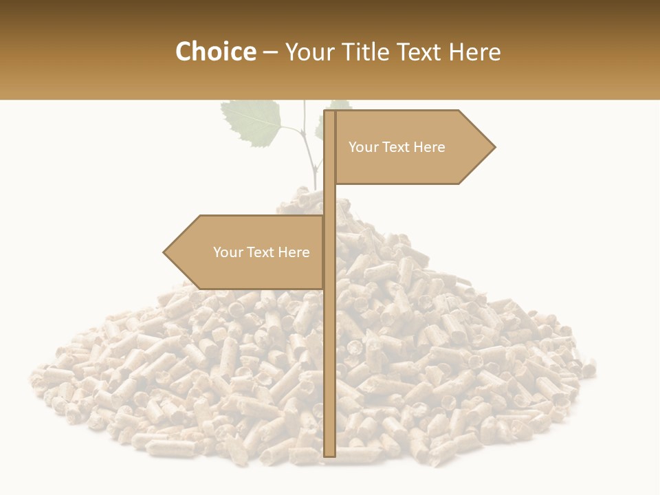 Ecological Toilet Filler PowerPoint Template