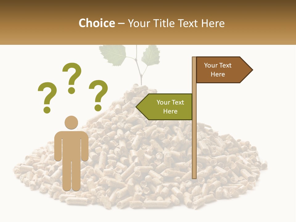 Ecological Toilet Filler PowerPoint Template