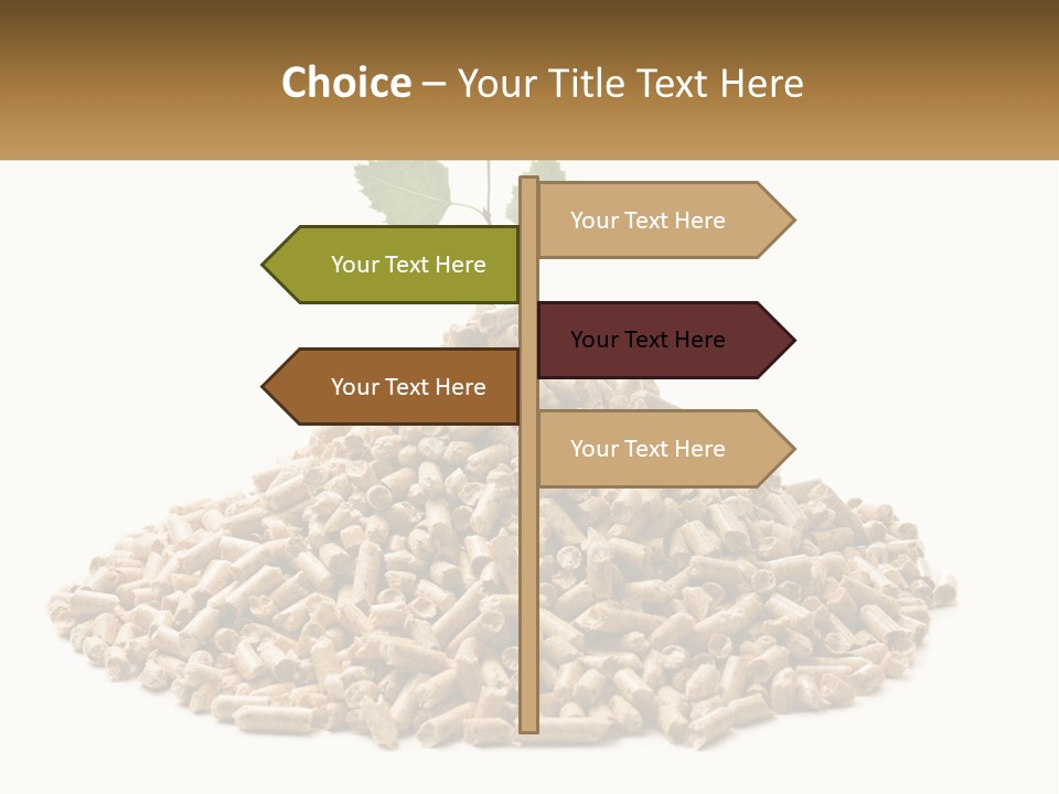 Ecological Toilet Filler PowerPoint Template