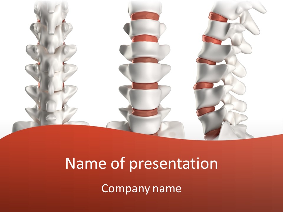 Spine Anatomy Lumbar Region PowerPoint Template