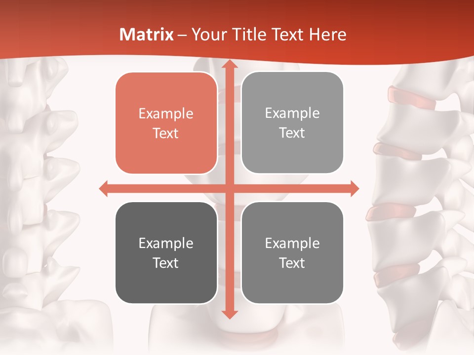 Spine Anatomy Lumbar Region PowerPoint Template