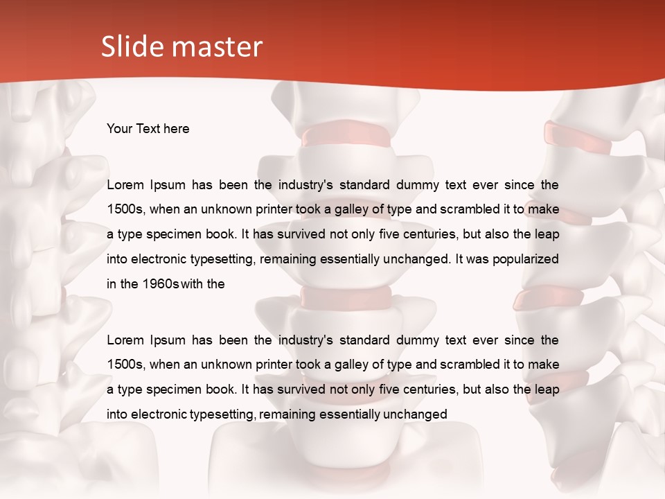 Spine Anatomy Lumbar Region PowerPoint Template