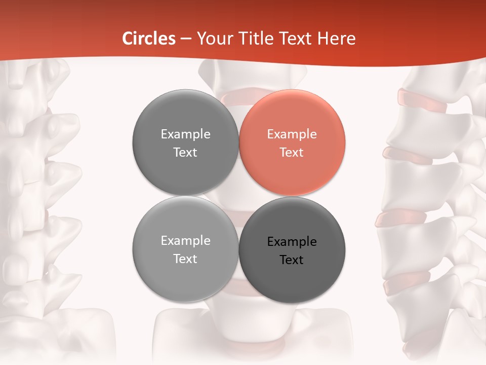 Spine Anatomy Lumbar Region PowerPoint Template