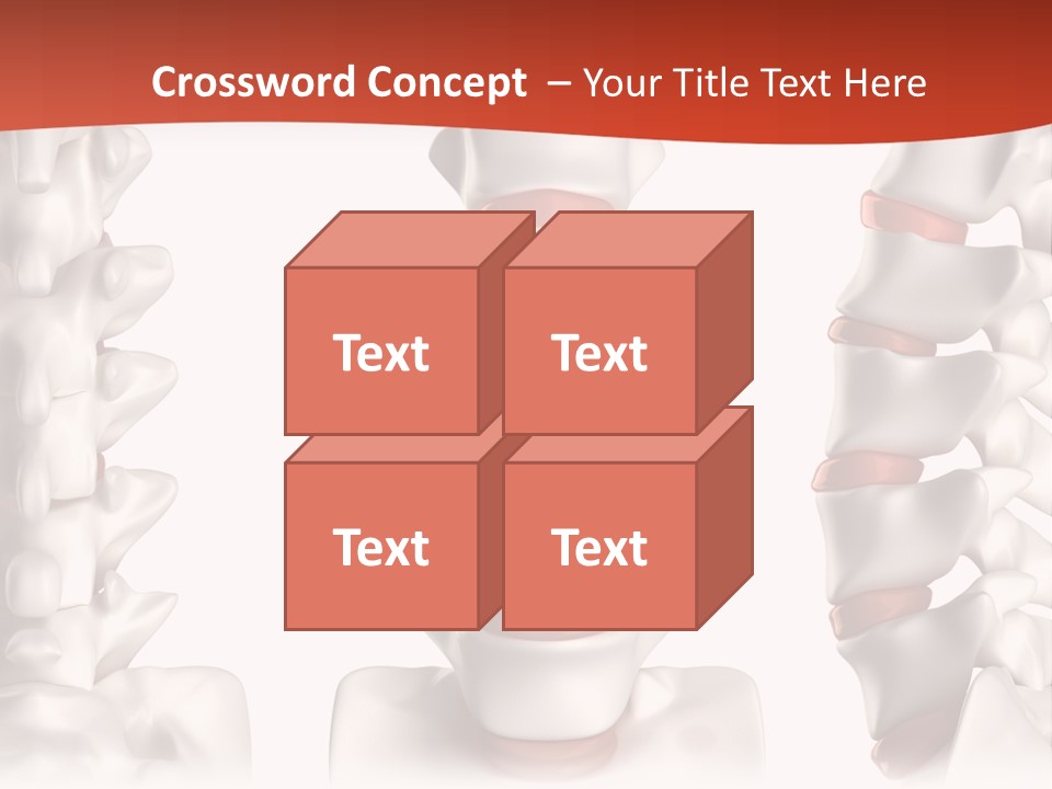 Spine Anatomy Lumbar Region PowerPoint Template