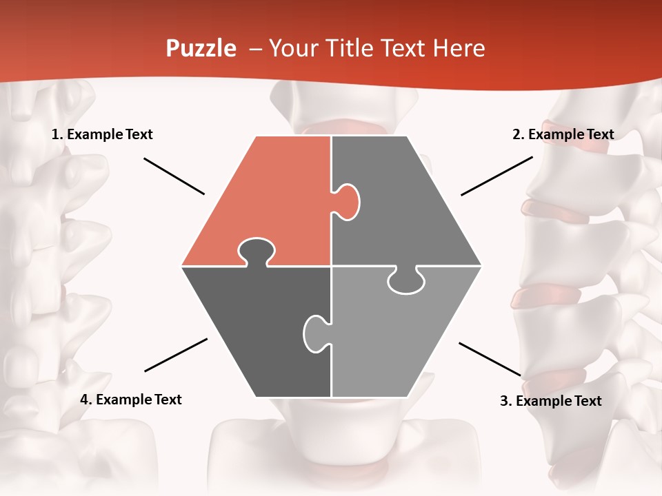 Spine Anatomy Lumbar Region PowerPoint Template