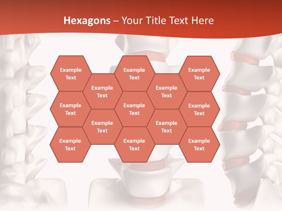 Spine Anatomy Lumbar Region PowerPoint Template