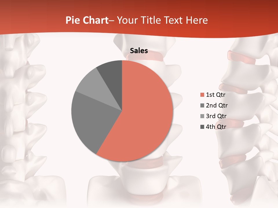 Spine Anatomy Lumbar Region PowerPoint Template
