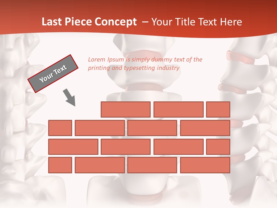 Spine Anatomy Lumbar Region PowerPoint Template