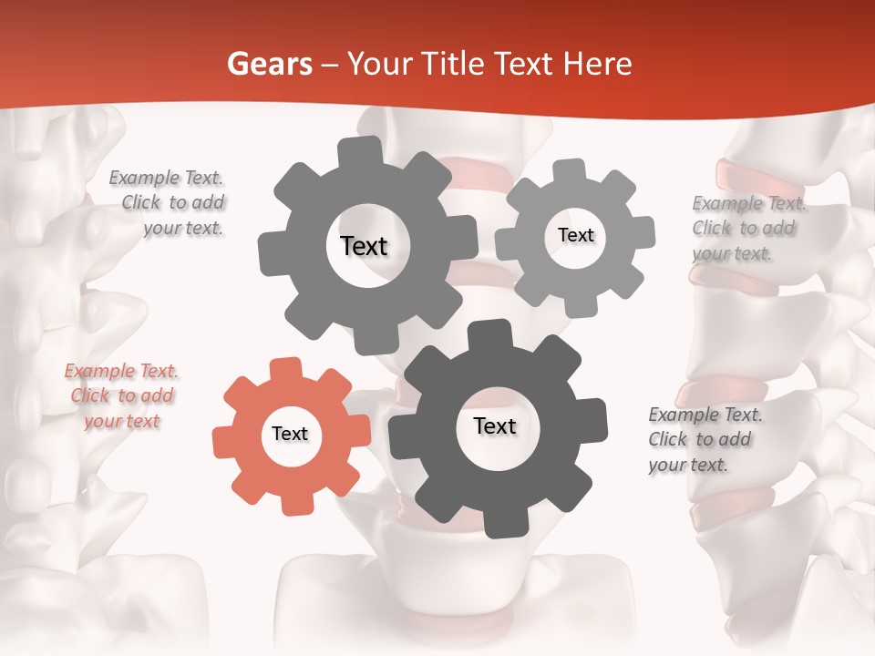 Spine Anatomy Lumbar Region PowerPoint Template