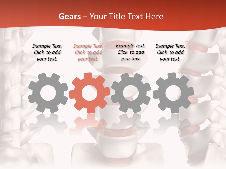 Spine Anatomy Lumbar Region PowerPoint Template