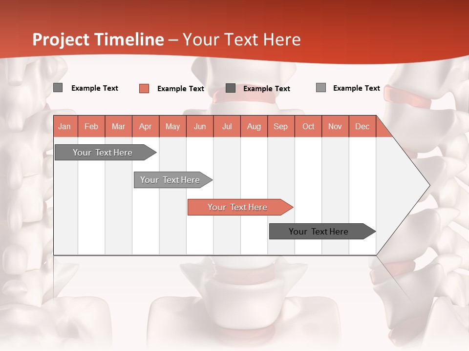 Spine Anatomy Lumbar Region PowerPoint Template