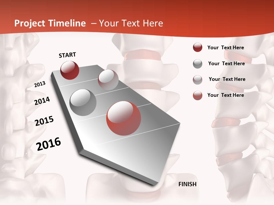 Spine Anatomy Lumbar Region PowerPoint Template