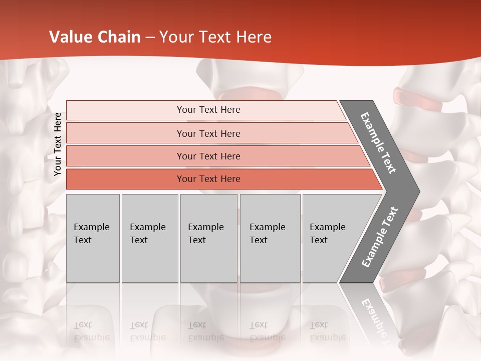 Spine Anatomy Lumbar Region PowerPoint Template