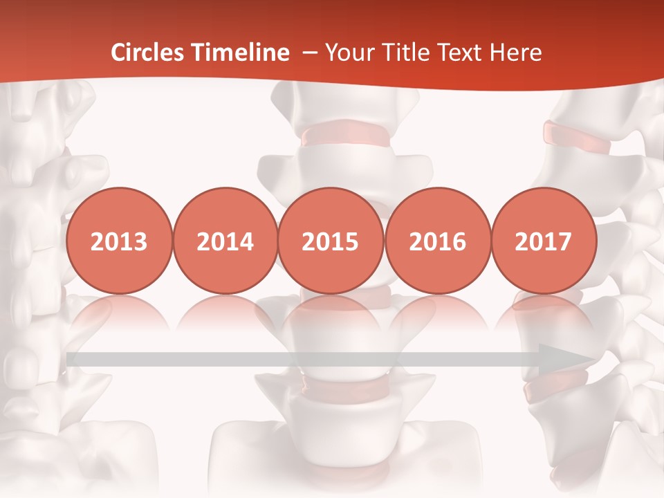 Spine Anatomy Lumbar Region PowerPoint Template