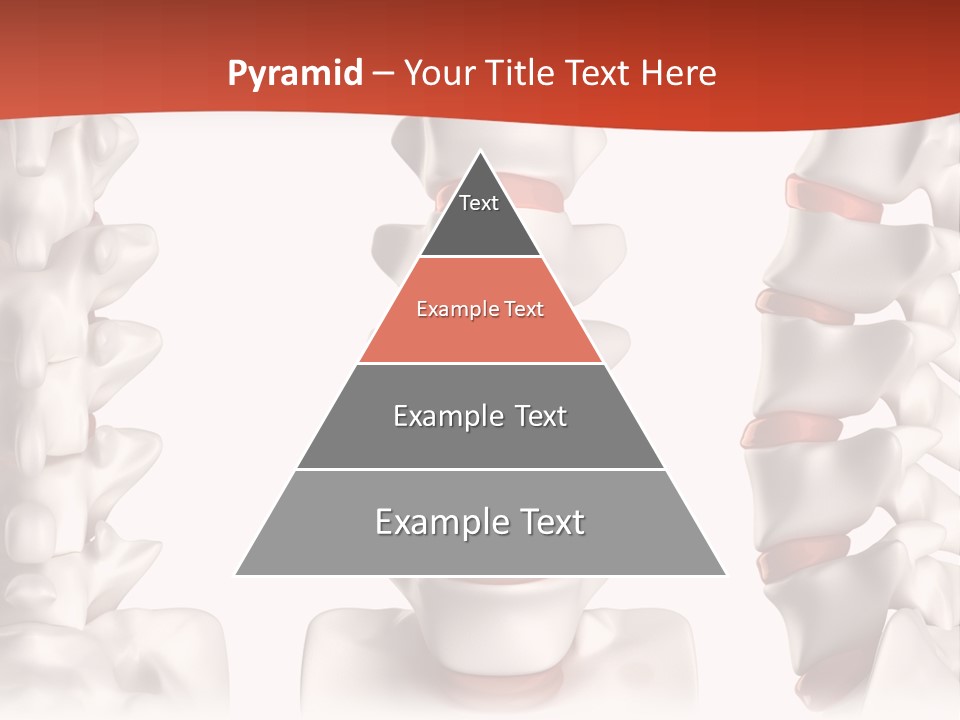 Spine Anatomy Lumbar Region PowerPoint Template
