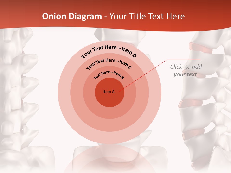 Spine Anatomy Lumbar Region PowerPoint Template