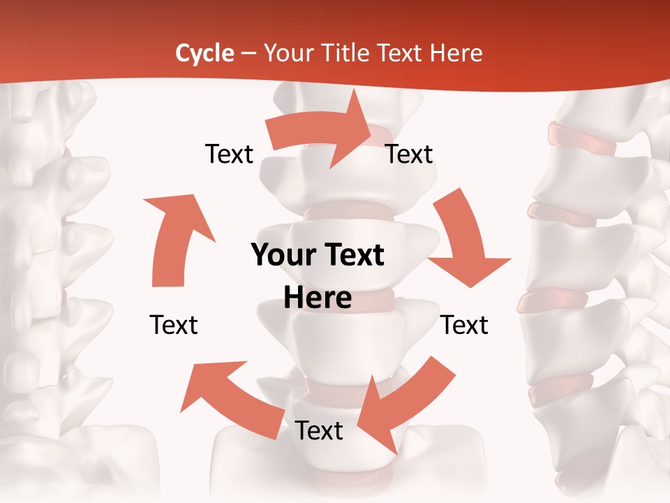 Spine Anatomy Lumbar Region PowerPoint Template