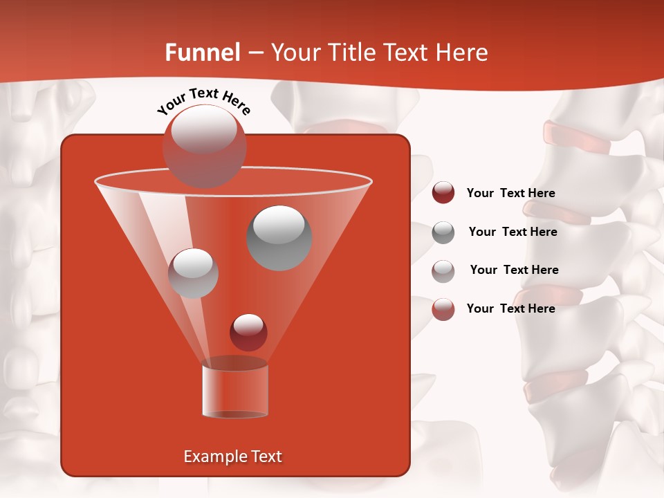 Spine Anatomy Lumbar Region PowerPoint Template