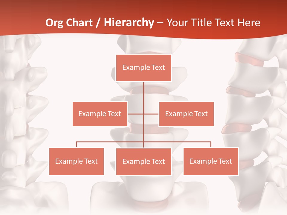 Spine Anatomy Lumbar Region PowerPoint Template