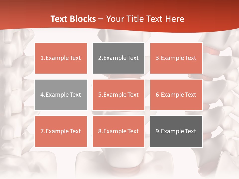 Spine Anatomy Lumbar Region PowerPoint Template