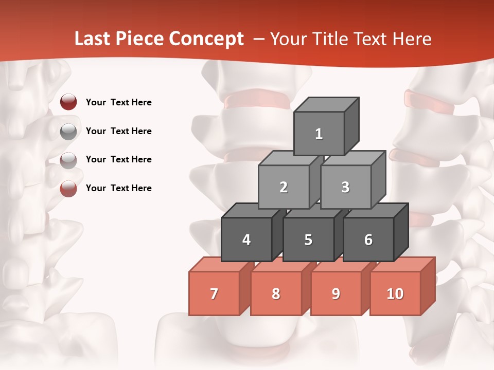 Spine Anatomy Lumbar Region PowerPoint Template