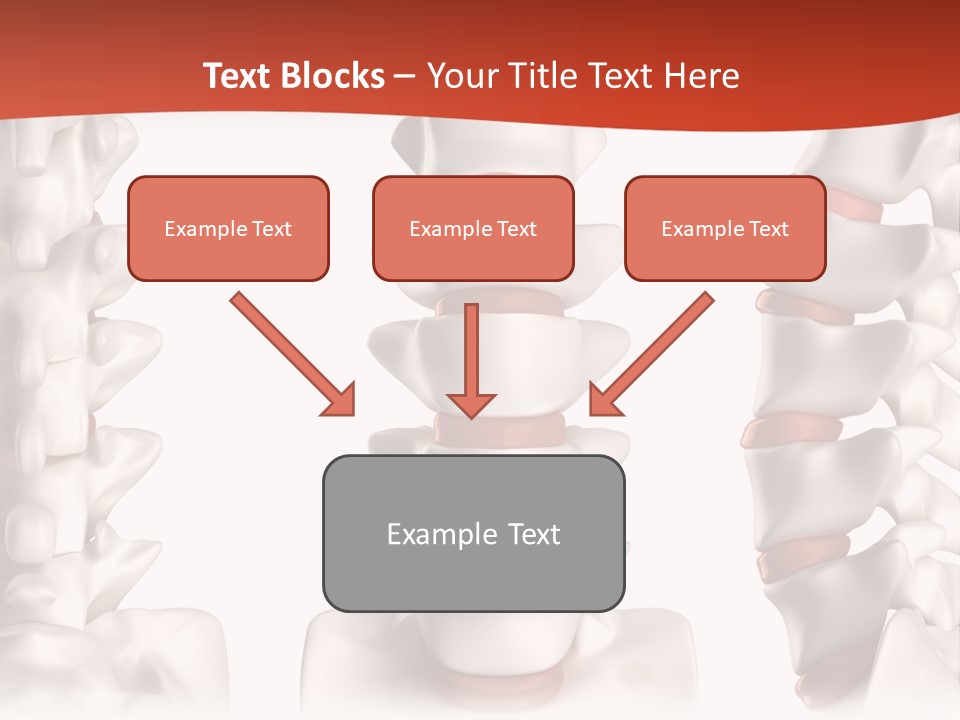 Spine Anatomy Lumbar Region PowerPoint Template