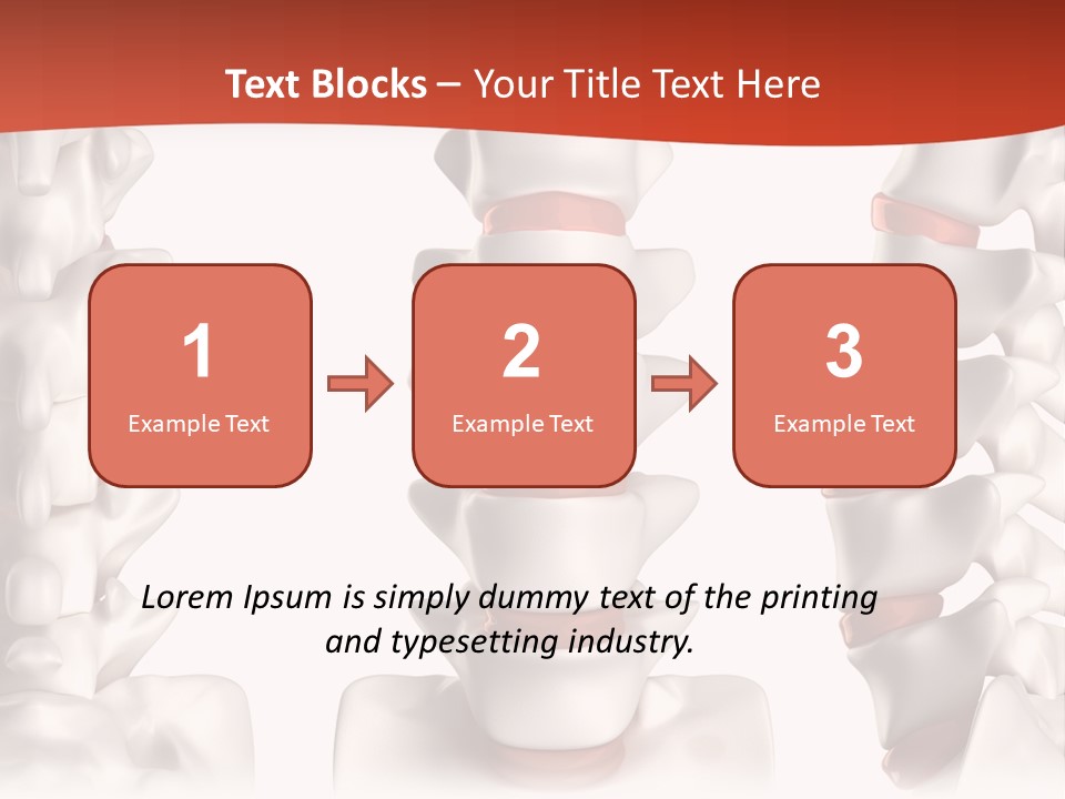 Spine Anatomy Lumbar Region PowerPoint Template