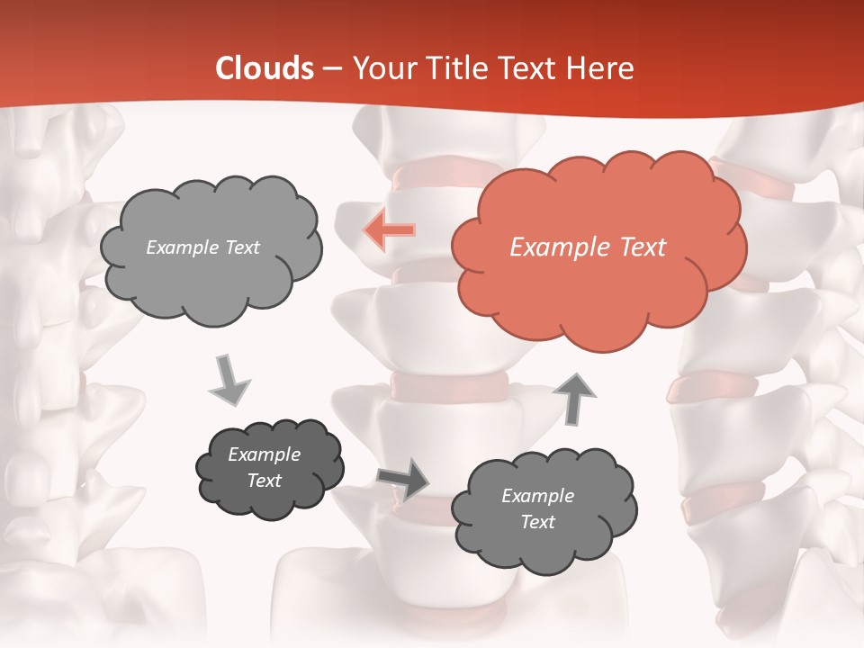 Spine Anatomy Lumbar Region PowerPoint Template