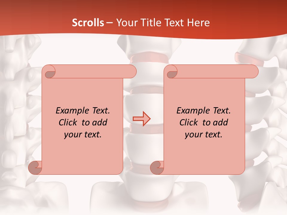 Spine Anatomy Lumbar Region PowerPoint Template