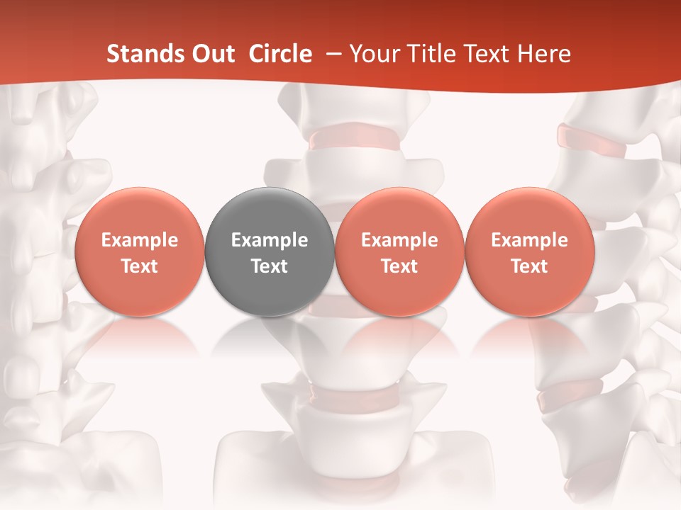 Spine Anatomy Lumbar Region PowerPoint Template