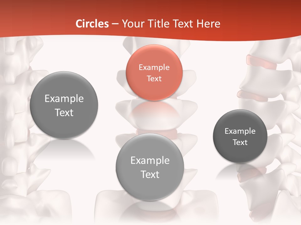 Spine Anatomy Lumbar Region PowerPoint Template