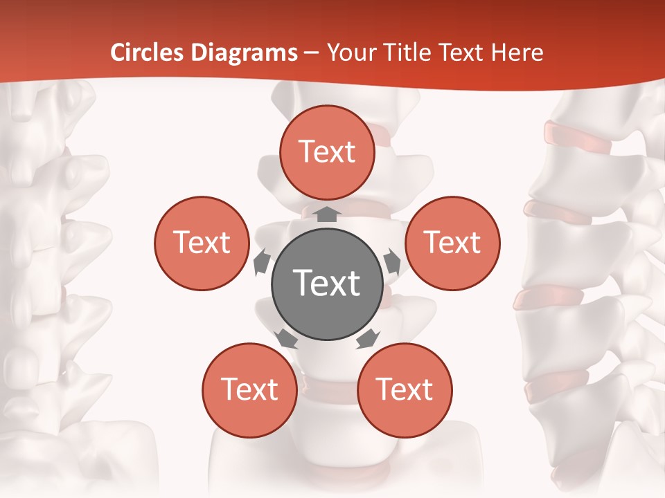 Spine Anatomy Lumbar Region PowerPoint Template