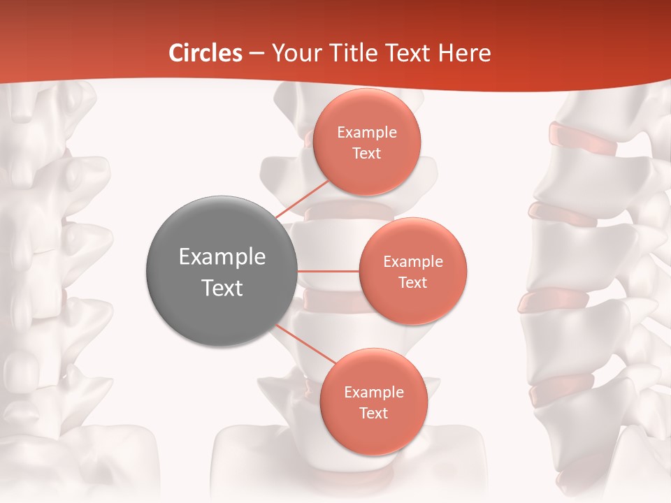 Spine Anatomy Lumbar Region PowerPoint Template
