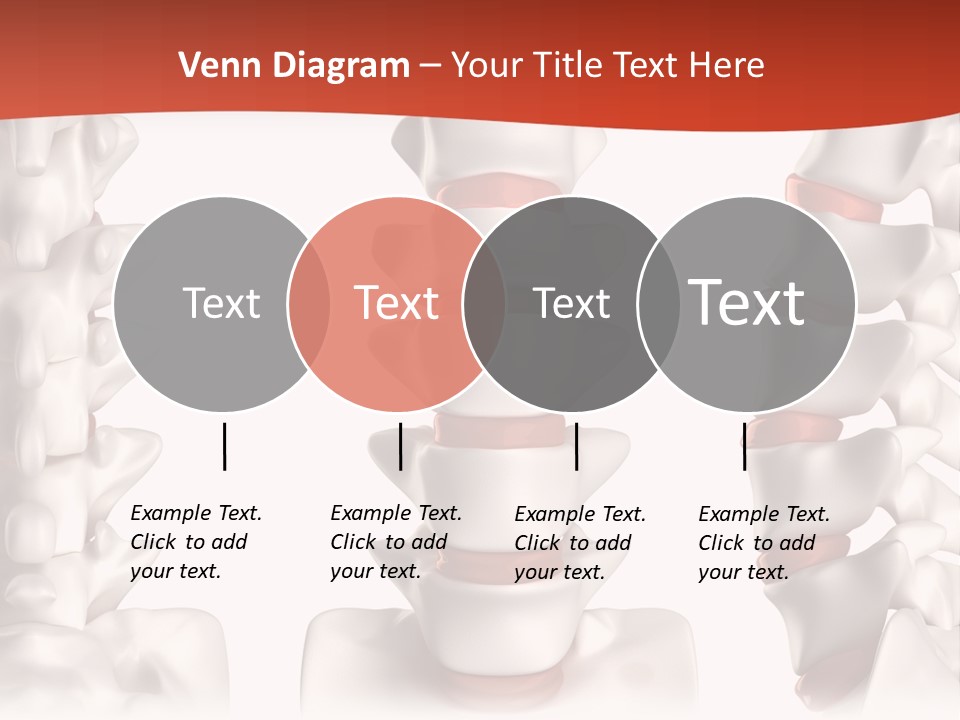 Spine Anatomy Lumbar Region PowerPoint Template